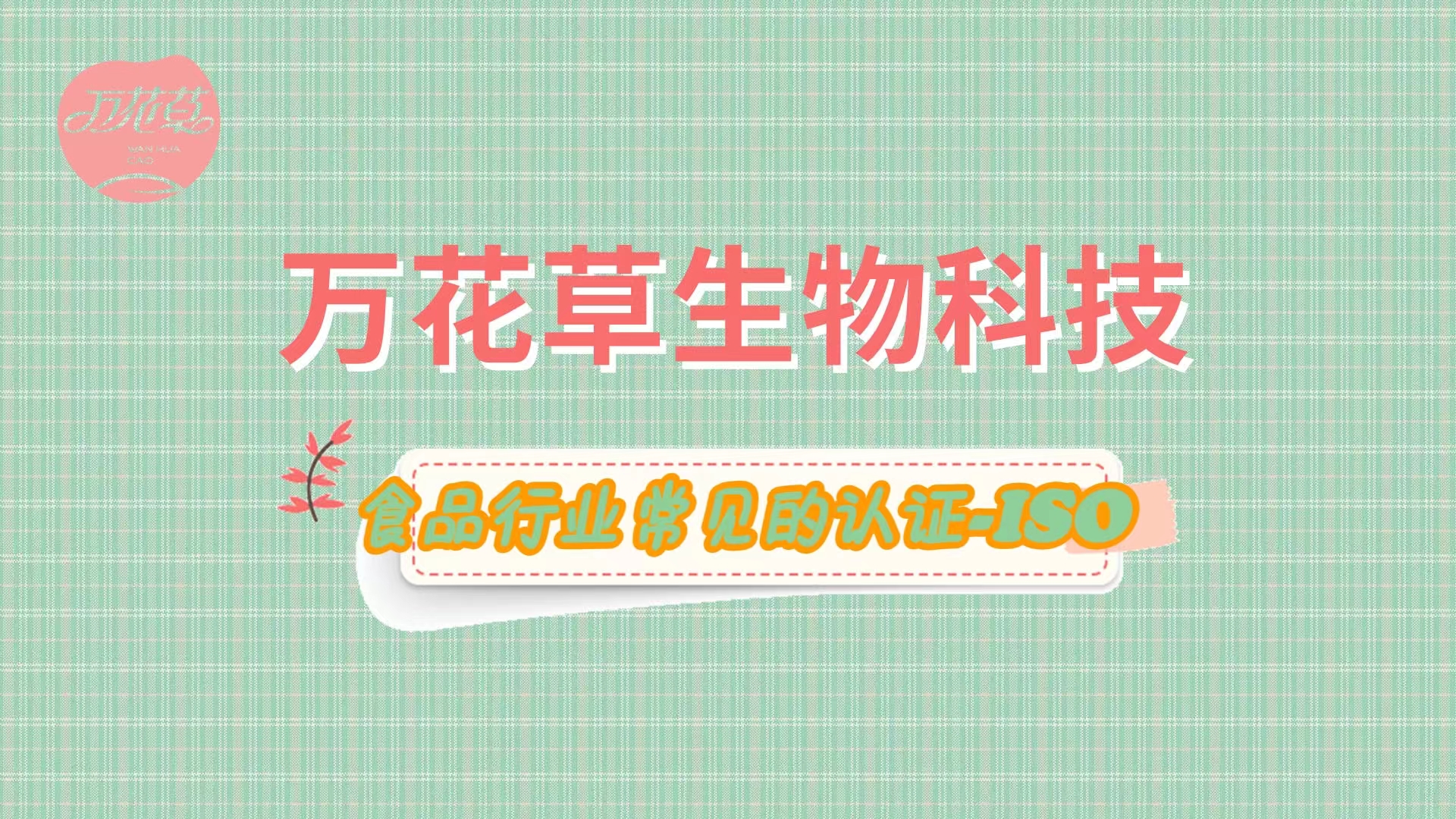 什(shén)麽是(shì)體(tǐ)系認證？梳理(lǐ)一(yī)下(xià)食品行(xíng)業(yè)常見(jiàn)的(de)認證